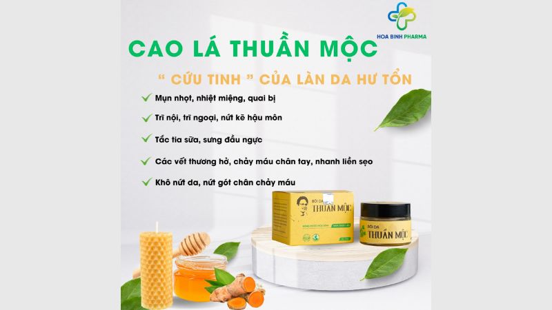 Cao lá Thuần Mộc còn thúc đẩy quá trình hồi phục mô tổn thương nhờ các hoạt chất chống oxy hóa