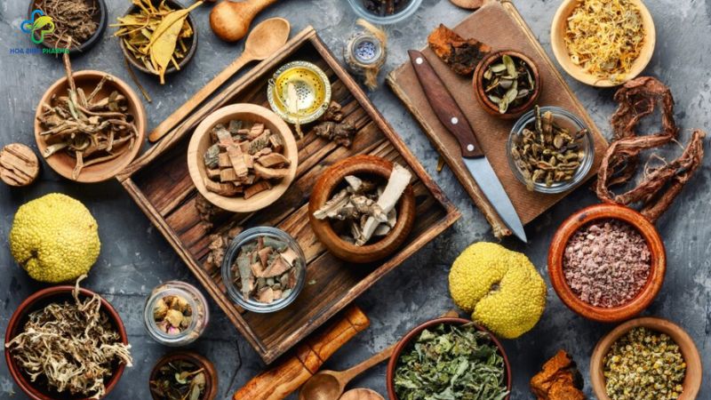 kem bôi da thảo dược Thuần Mộc – dòng kem kết hợp giữa chiết xuất thảo dược tự nhiên và công nghệ bào chế hiện đại