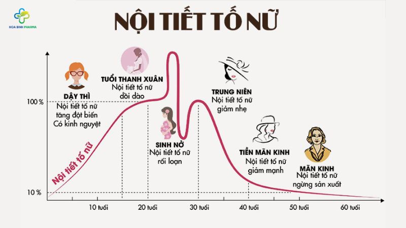 Sức khỏe phụ nữ rất dễ bị ảnh hưởng bởi các yếu tố sinh lý và môi trường sống