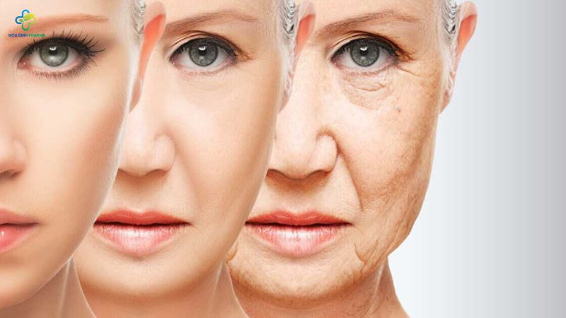 Khi bước vào tuổi 25 trở đi, quá trình sản xuất collagen và elastin bắt đầu chậm lại