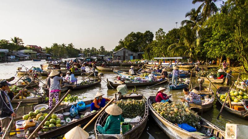 Sản phẩm của Thuần Mộc có tác dụng làm dịu da, giảm viêm, phục hồi nhanh các tổn thương ngoài da